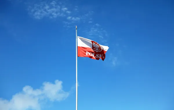 Vlajka Polsko mávat ve větru — Stock fotografie