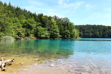 Plitvice Lakes Ulusal Parkı (Hırvatistan)