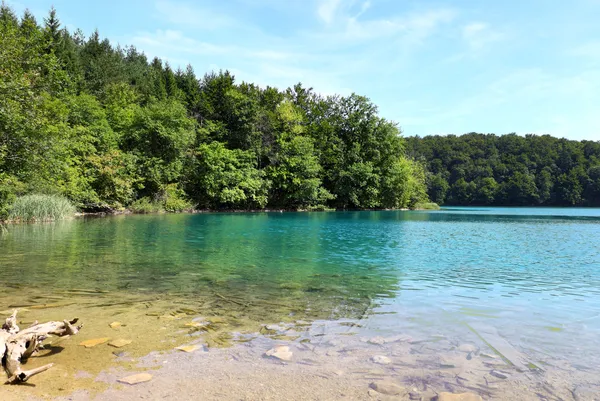 Park Narodowy Jezior Plitwickich (Chorwacja)) — Zdjęcie stockowe