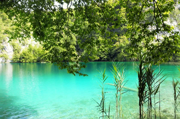 Kristallklarer See in plitvice, Kroatien — Stockfoto