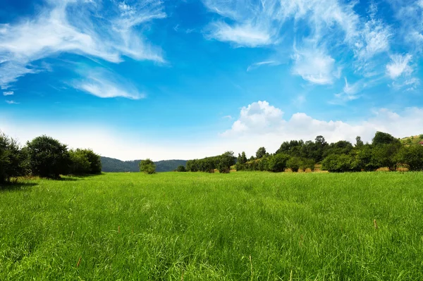 Grassland - nature, landscape — Stockfoto