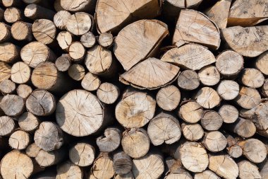 Dry chopped firewood clipart