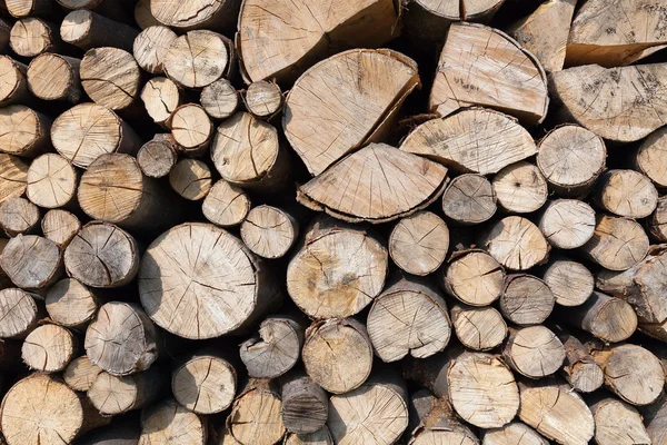 Suché dřevo nasekané — Stock fotografie