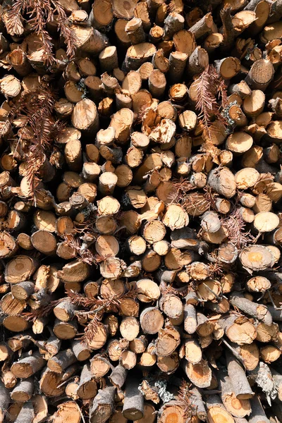 Grumes de bois de chauffage hachées à sec empilées les unes sur les autres en tas — Photo