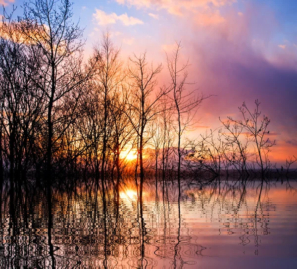 Zachód słońca nad jeziorem tło — Zdjęcie stockowe