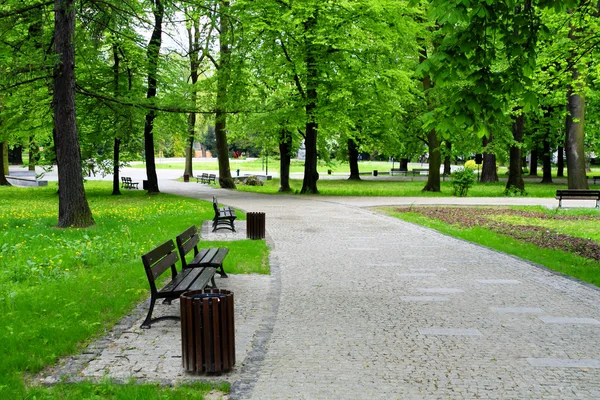 Grüner Park — Stockfoto
