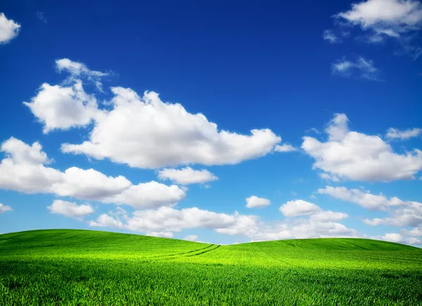 Campo verde y cielo azul —  Fotos de Stock