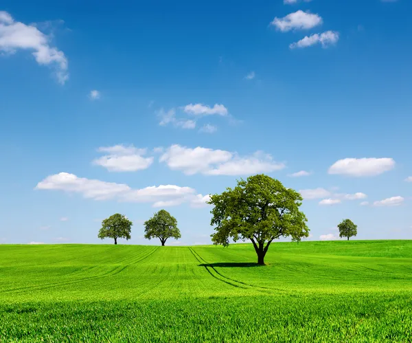 Gröna ekologi landskap — Stockfoto