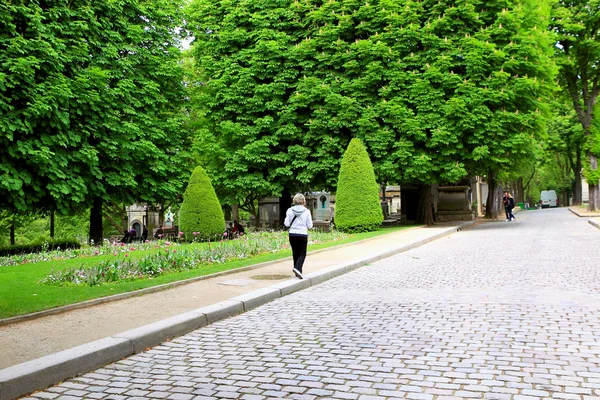 공원을 걷는 모습 — 스톡 사진
