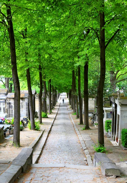 Stock image Spring cemetery alley