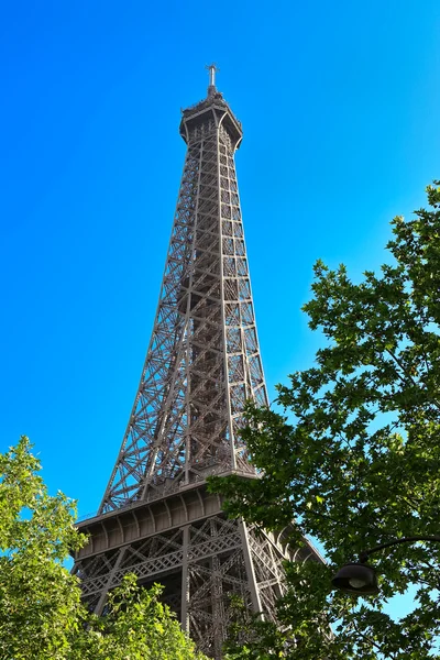 Torre Eiffel entre as árvores — Fotografia de Stock