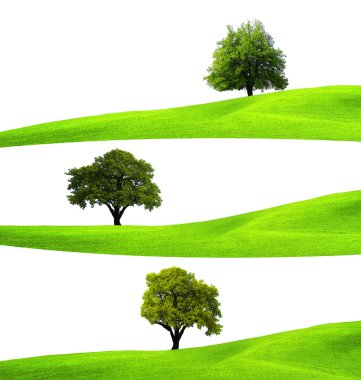 Ecology concept clipart