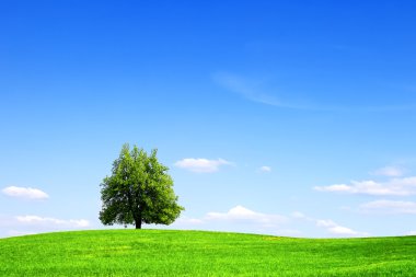 Green tree, summer landscape clipart