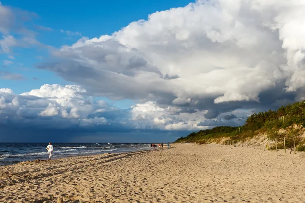 Plaj ve fırtınalı okyanus — Stok fotoğraf