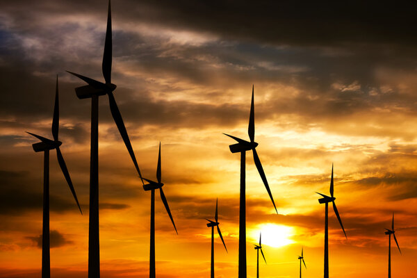Wind farm at sunset