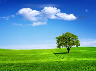 Tree on green field clipart