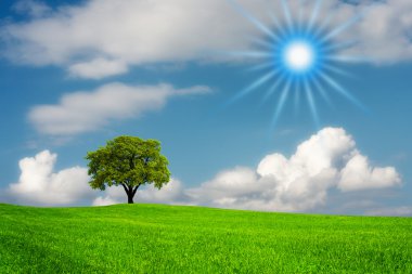 Sunny nature landscape clipart