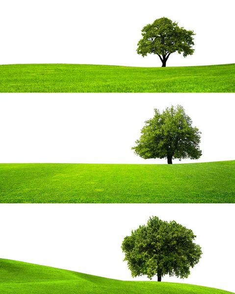 Yeşil doğa — Stok fotoğraf