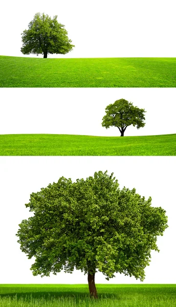 Design verde — Foto Stock