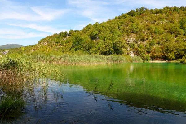 Λιμνών Plitvice στην Κροατία — Φωτογραφία Αρχείου