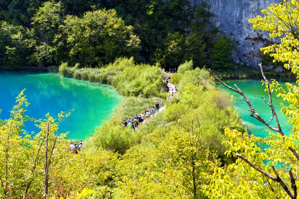A Plitvicei Nemzeti park — Stock Fotó