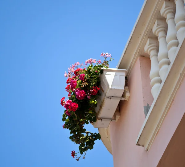 Bloemen op het balkon — Stockfoto