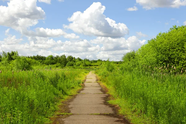 Caminho no parque verde — Fotografia de Stock