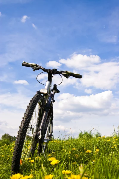 Rower — Zdjęcie stockowe