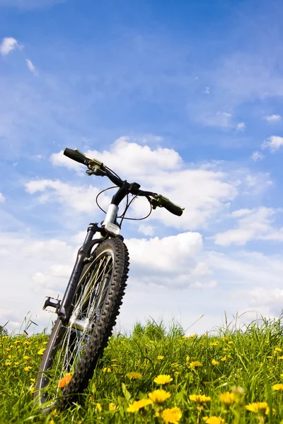 자전거 — 스톡 사진