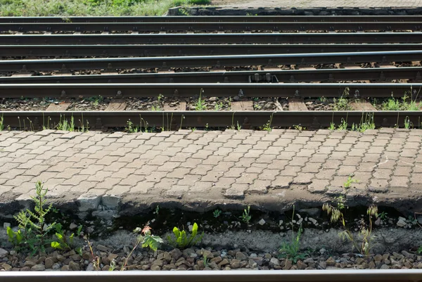 stock image Railway