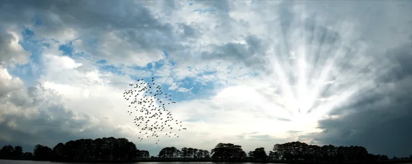 stock image Clouds