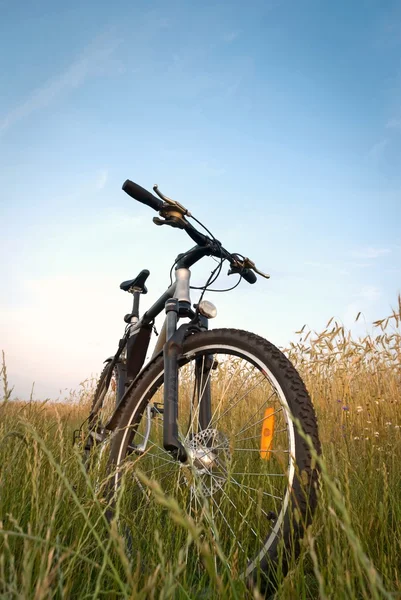 Велосипед — стокове фото