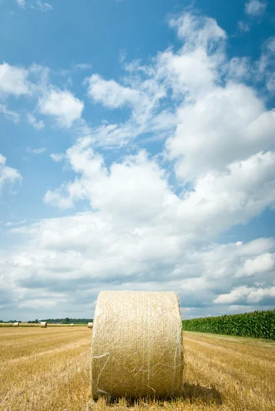 Straw bales — Stock Photo, Image