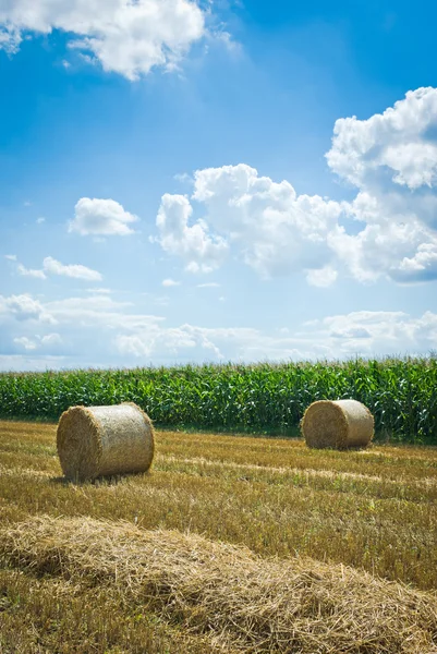 Domínio agrícola — Fotografia de Stock