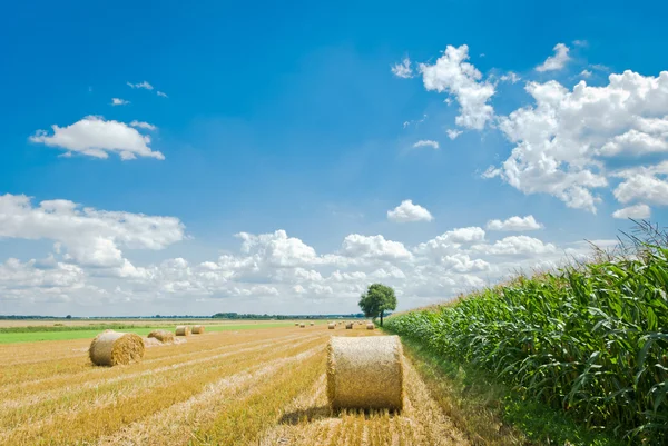 Jordbruksområdet — Stockfoto