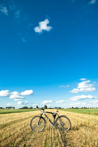 Ποδήλατο — Φωτογραφία Αρχείου