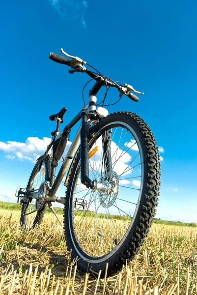 Kerékpár — Stock Fotó