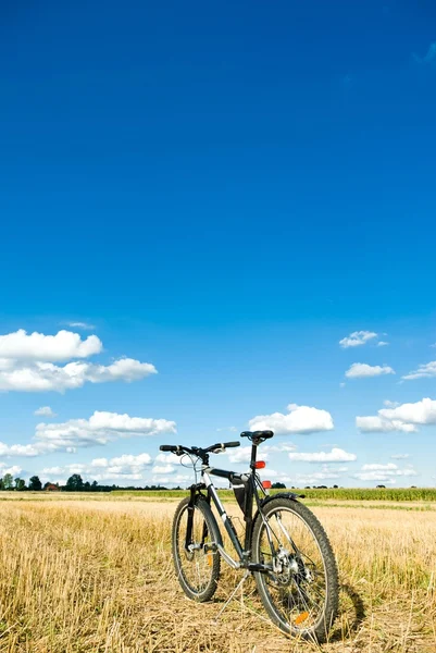 Bike Stock Photo