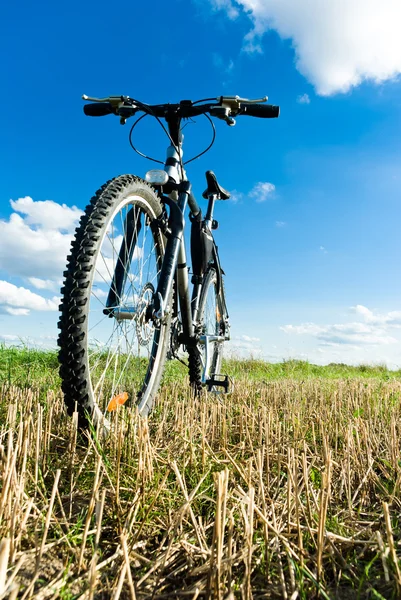 Fahrrad lizenzfreie Stockfotos