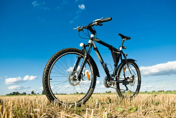 Велосипед — стокове фото