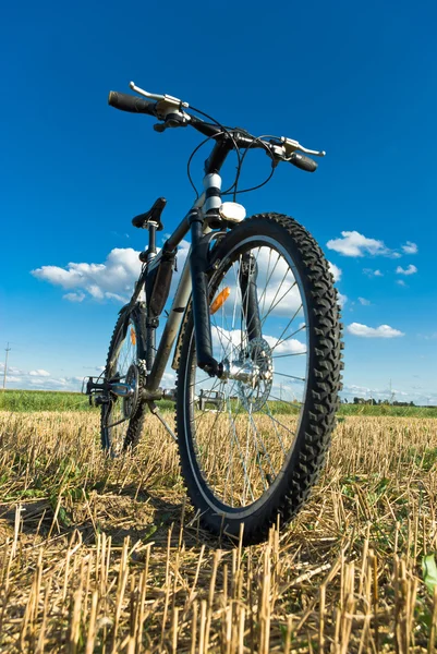 Bike Stock Picture