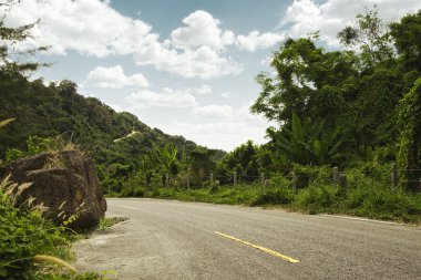 panoramik manzaralı güzel egzotik yol tropik ortamında