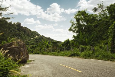 Panoramic view of nice exotic road in tropic environment clipart