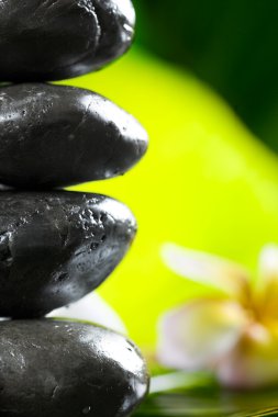 Close up view of gray stones and flower on color back clipart