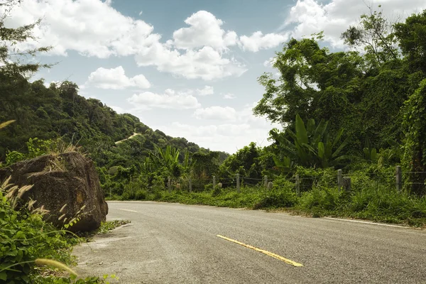 Panoramablick auf schöne exotische Straße in tropischer Umgebung — Stockfoto