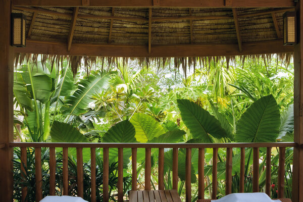 Тропический вид
