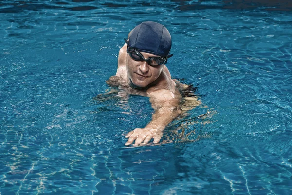 Nuotate nuotate nuotate — Foto Stock