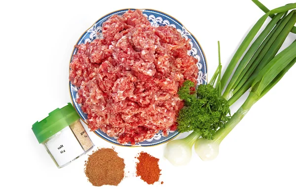 Minced meat with onion and spices — Stock Photo, Image