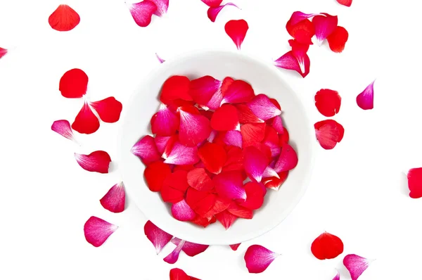 Rode en roze bloemblaadjes — Stockfoto