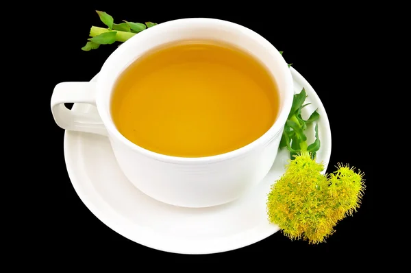 Herbal tea with flower golden root — Stock Photo, Image